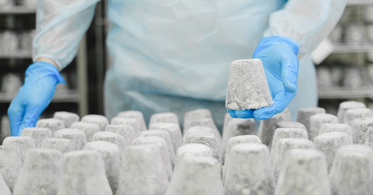Od dostawy do produkcji: jak skutecznie zadbać o jakość surowców i uniknąć kosztownych niespodzianek